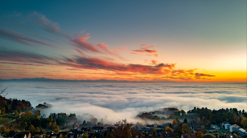 午夜视频社区活动照片